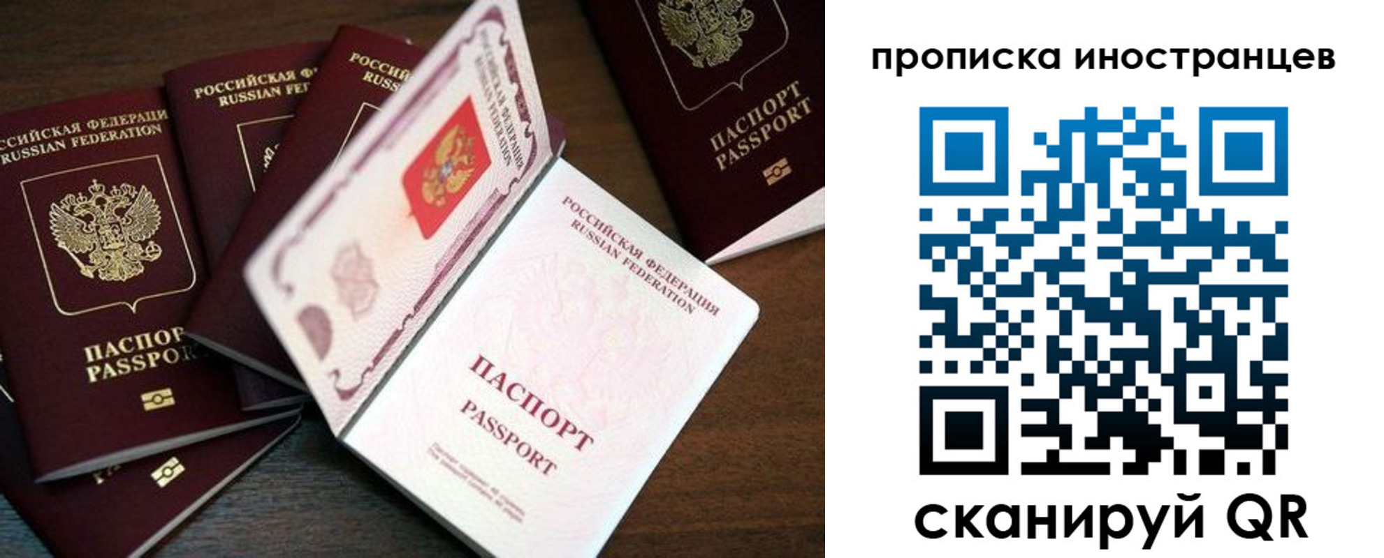 временная регистрация гарантия в Полярных Зорях